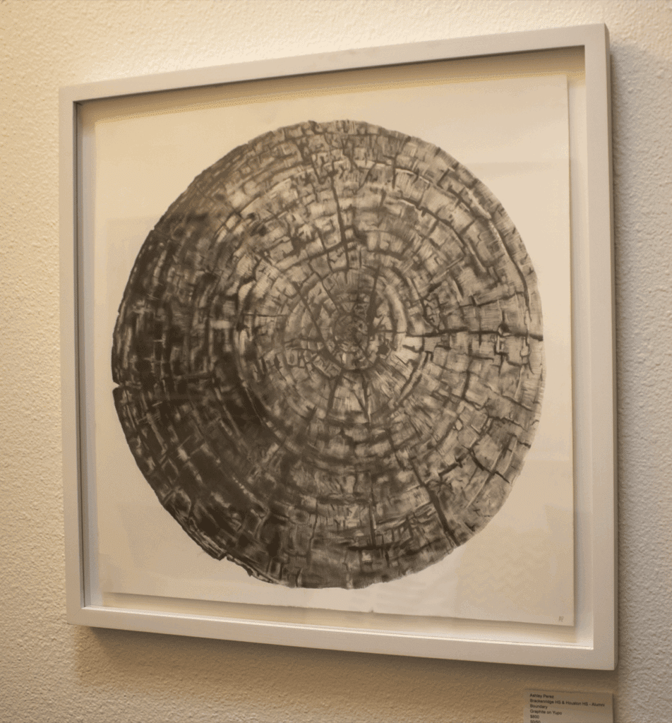 Ashley Perez - Brack - Sam Houston Alum - Boundary - Graphite on Yupa - 800 - 5050