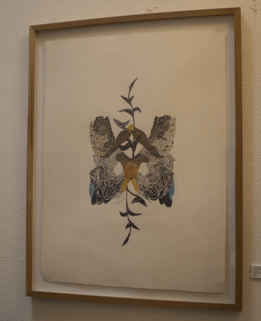 Ashley Perez - Brack and Sam Houston Alumni - Waterfowl - MIxed Media on Paper - 450 - 5050