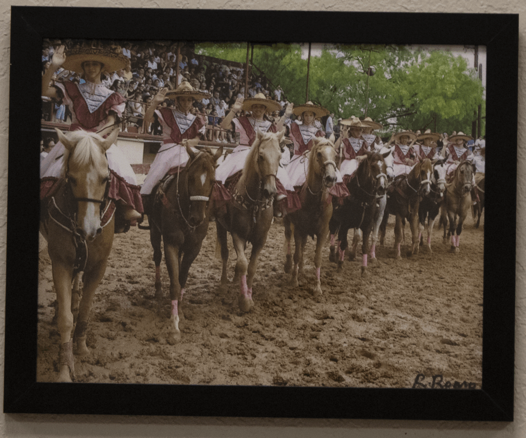 Dr. Ricardo Romo - FT Alumni - Photograph - 150 - Full Donation-1