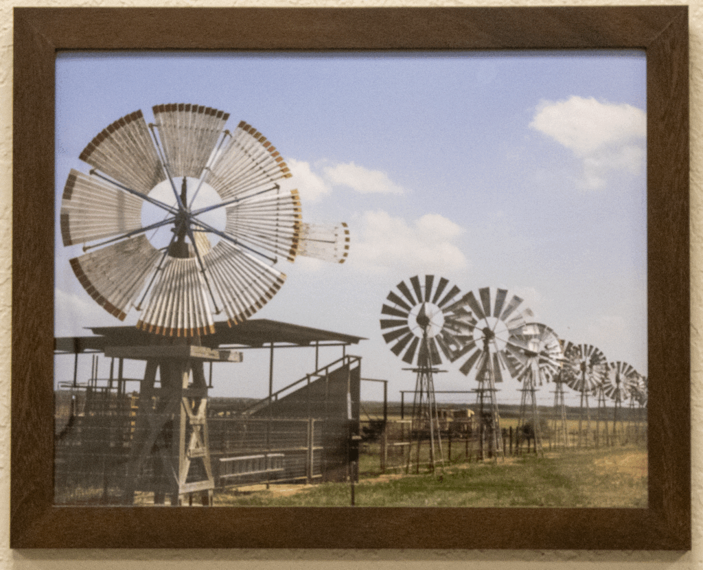 Untitled - Romo Collection - FT Alumni - Photograph - 150 - Full Donation